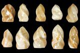 Lot: - Polished, Brown Calcite Flames - Pieces #133862-1